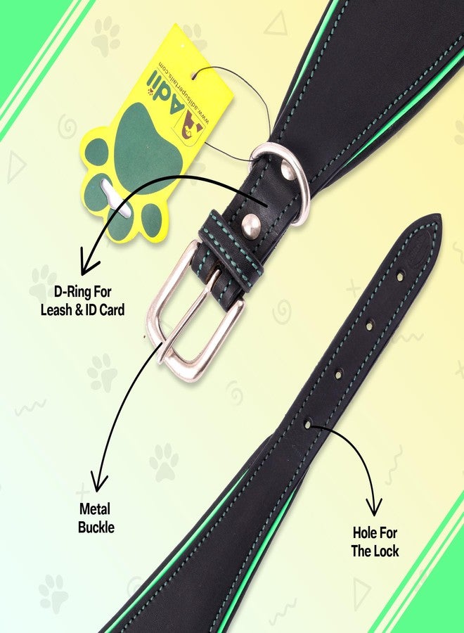 ADIL'S Adil’s Leather Dog Collar for Greyhound, Saluki, Whippet Dogs with Green Piping and Soft Padding, Width: 1 inch, Size M, Black - Image 3